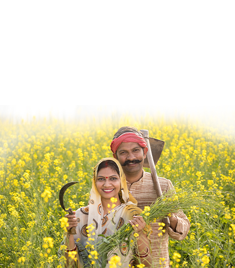 Harvesting and Transport Loan Banner